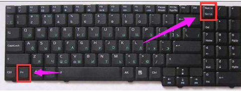 笔记本键盘字母变数字怎么办图文5