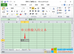 Excel插入数据（在Excel 2010中，单元格输入数据或公式）