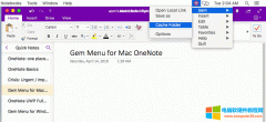 OneNote for Mac的缓存文件夹在哪里？