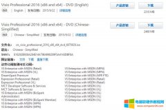 Visio Professional 2016 (x86 x64)官方简体中文 免费下载