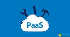 如何应对应用程序PaaS安全性问题?