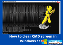如何在 Windows 11/10 中清除 CMD 屏幕