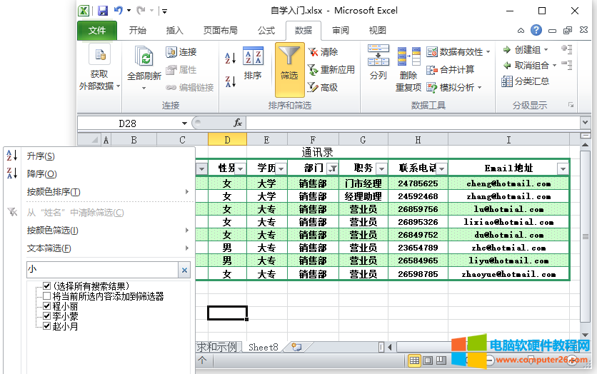 Excel筛选（Excel 2010中的筛选的使用方法）2
