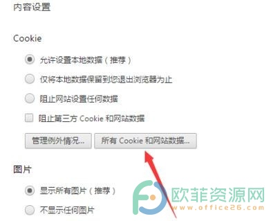 如何清除谷歌浏览器中某个网站的Cookie？